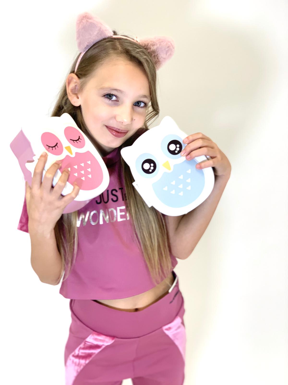 Bento-chouette-rose-bleu_e4adec25-57a1-470c-b20e-f2613b77a677